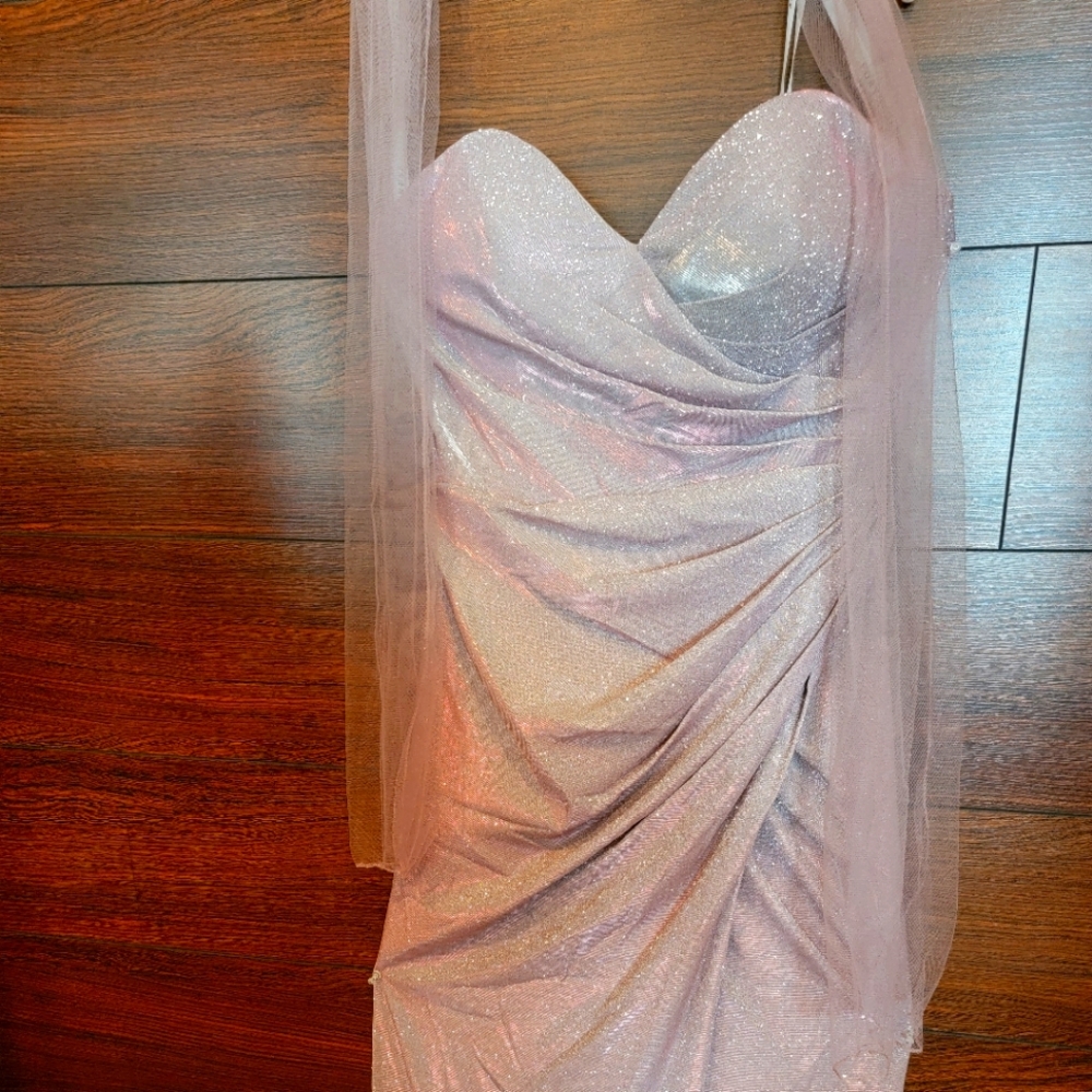 Sparkling Champagne Prom/Evening Gown